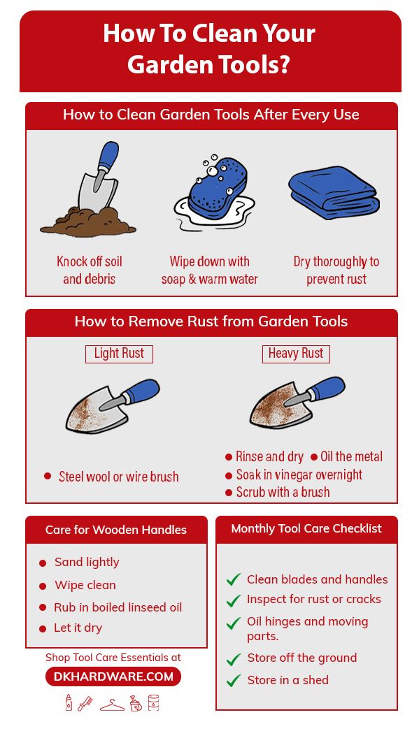 How to Clean Your Garden Tools (Step-by-Step Guide)