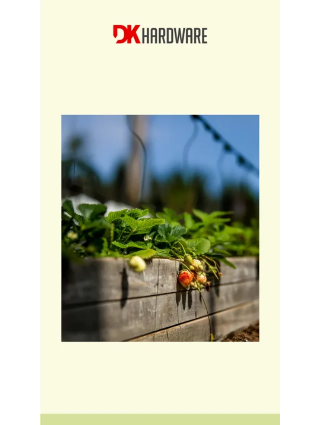 How to build your own raised garden bed?