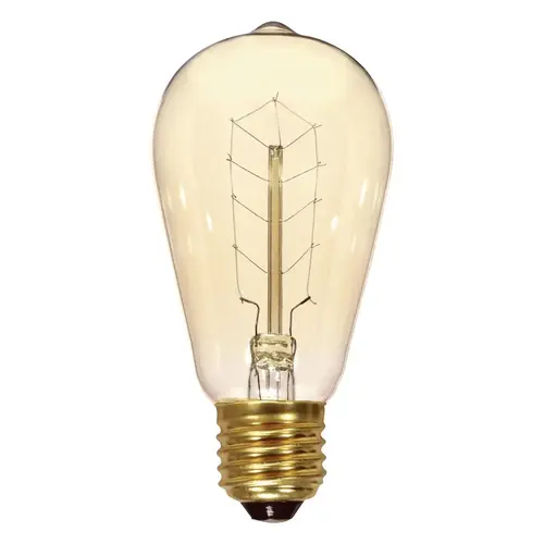 Incandescent Bulb 40 W ST19 Specialty E26 (Medium) Soft White Clear - pack of 6 Incandescent Bulb 40 W ST19 Specialty E26 (Medium) Soft White Clear - pack of 6
