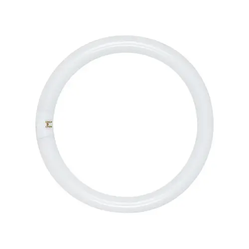 Circline Fluorescent Bulb 22 W T9 1.13" D X 8" L Daylight Tubular 6500 K Frosted Circline Fluorescent Bulb 22 W T9 1.13" D X 8" L Daylight Tubular 6500 K Frosted