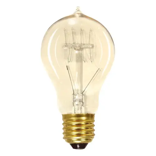 Incandescent Bulb 40 W A19 Specialty E26 (Medium) Soft White Clear - pack of 6 Incandescent Bulb 40 W A19 Specialty E26 (Medium) Soft White Clear - pack of 6