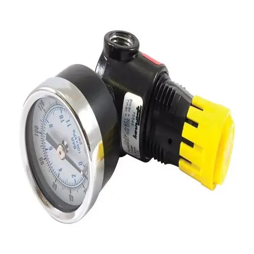 Mini Regulator with Gauge Plastic 1/4" NPT 300 psi Mini Regulator with Gauge Plastic 1/4" NPT 300 psi