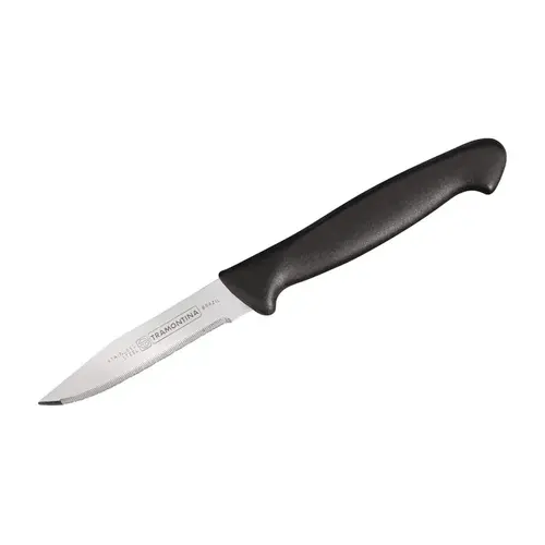 Knife Stainless Steel Paring 1 pc Mirror Polished