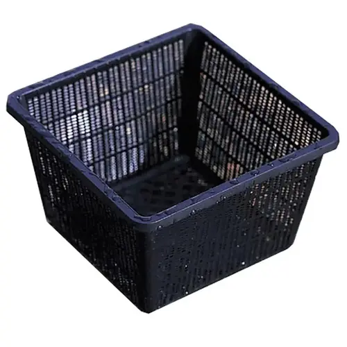 Plant Basket Aquatic 10" Plastic Black Plant Basket Aquatic 10" Plastic Black