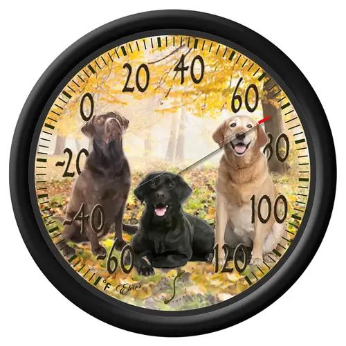 Labrador Thermometer, 13-1/4 in Display, -60 to 120 deg F Multicolored