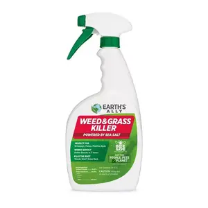 Earth's Ally 10092-XCP6 Killer Grass & Weed RTU Liquid 24 oz - pack of 6