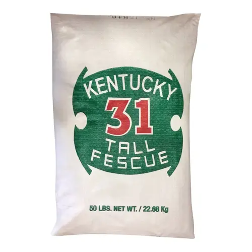 Grass Seed Kentucky 31 Tall Fescue Grass Full Sun/Medium Shade 50 lb Grass Seed Kentucky 31 Tall Fescue Grass Full Sun/Medium Shade 50 lb