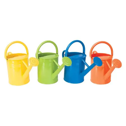 Watering Can Assorted 2 gal Metal Assorted Watering Can Assorted 2 gal Metal Assorted