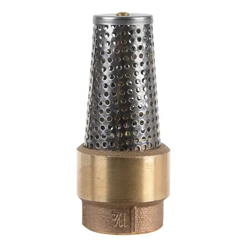 Foot Valve 1-1/4" D X 1-1/4" D Brass Spring Loaded