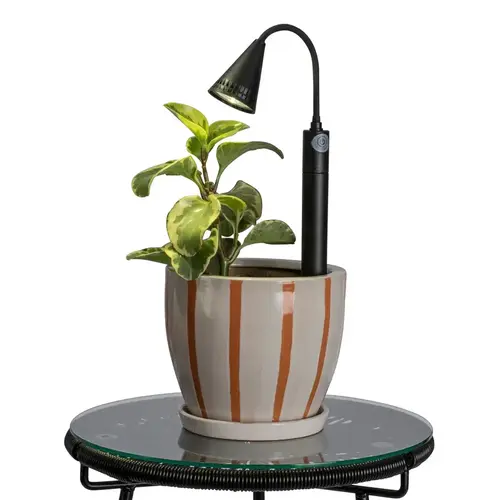 Spotlight Black Battery Operated LED Black - pack of 12 Spotlight Black Battery Operated LED Black - pack of 12