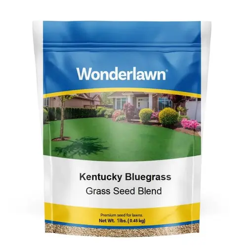 1 Lb. 500 Sq. Ft. Coverage Kentucky Bluegrass Grass Seed 1 Lb. 500 Sq. Ft. Coverage Kentucky Bluegrass Grass Seed