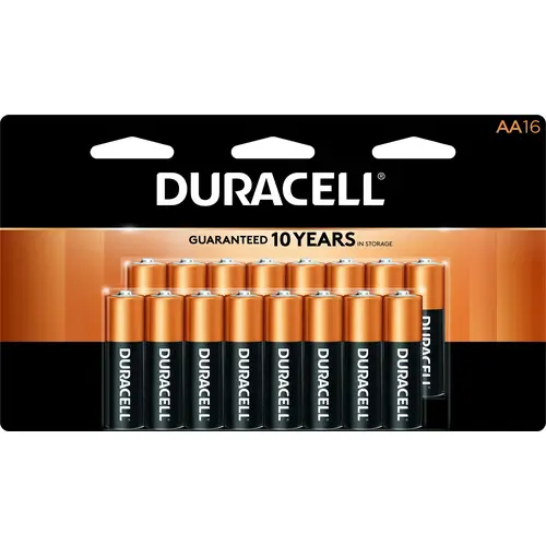 Duracell Alkaline Personal Power AA