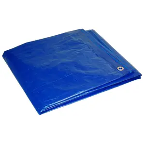 Foremost Tarp Co. 57 Tarp . Dry Top 5 ft. W X 7 ft. L Medium Duty Polyethylene Blue Blue