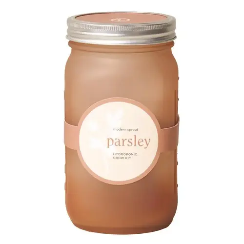Grow Kit Parsley
