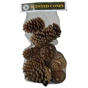 Winter Woods 88-267 Scented Cones Cinnamon