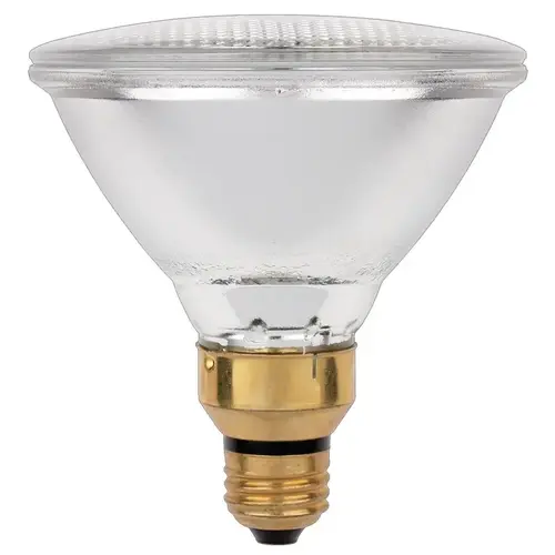 Halogen Bulb 38 W PAR38 Spotlight 500 lm Warm White Frosted Halogen Bulb 38 W PAR38 Spotlight 500 lm Warm White Frosted