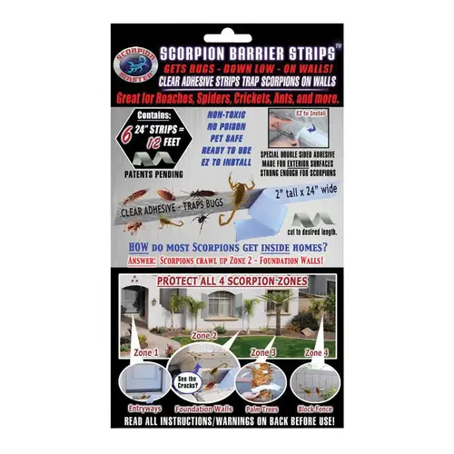 Glue Board Master 1 pk Glue Board Master 1 pk