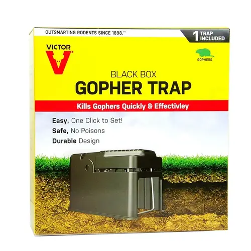 The Black Box Black Painted Metal Gopher Trap The Black Box Black Painted Metal Gopher Trap
