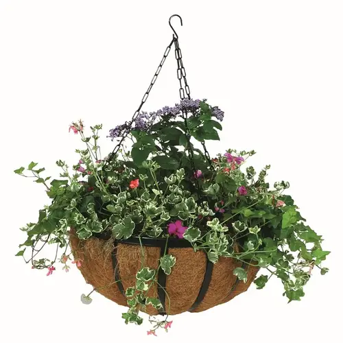 Hanging Basket 8" H X 14" D Steel Black Black Hanging Basket 8" H X 14" D Steel Black Black