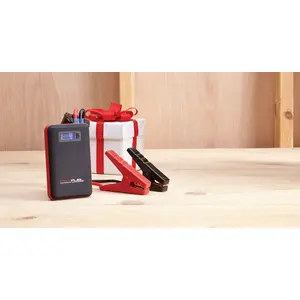 DieHard 43448 Battery Jump Starter Automatic 12 V 600 amps Black