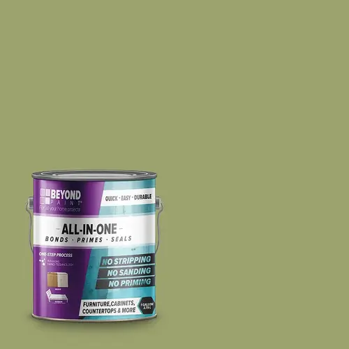 Paint Beyond Matte Sage Water-Based Exterior and Interior 53 g/L 1 gal Sage
