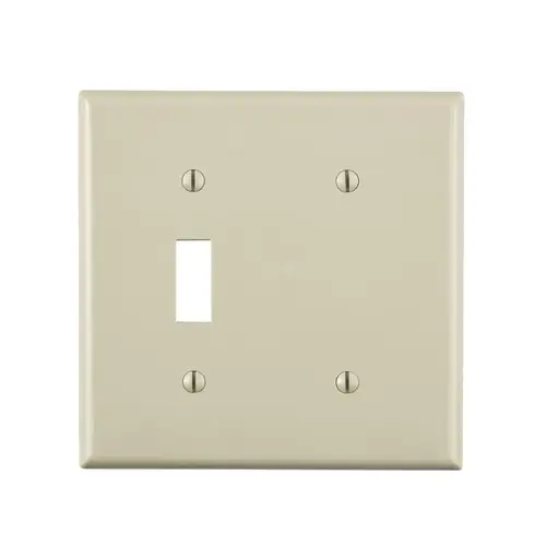 Wall Plate Light Almond 2 gang Thermoplastic Nylon Blank Light Almond