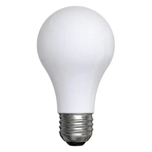 LED Bulb A19 E26 (Medium) Daylight 75 W White Pair LED Bulb A19 E26 (Medium) Daylight 75 W White Pair