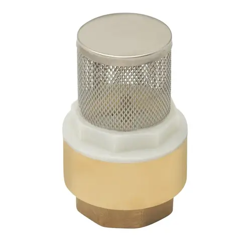 ProLine Series Foot Valve, 1-1/4 in Connection, FPT, Brass Body ProLine Series Foot Valve, 1-1/4 in Connection, FPT, Brass Body