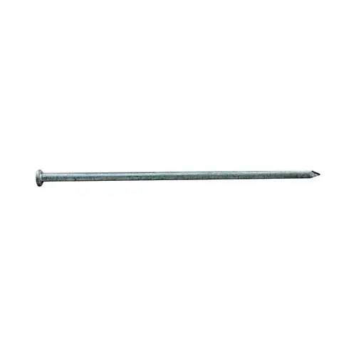 Nail 12" Spike Hot-Dipped Galvanized Steel Round Head 5 lb Hot-Dipped Galvanized Nail 12" Spike Hot-Dipped Galvanized Steel Round Head 5 lb Hot-Dipped Galvanized