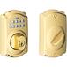 Bright Brass