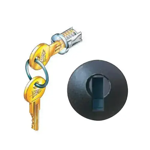 C300LP-19 KA #100T Removable Lock Plug, Black Finish C300LP-19 KA #100T Removable Lock Plug, Black Finish
