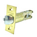 Bright Brass