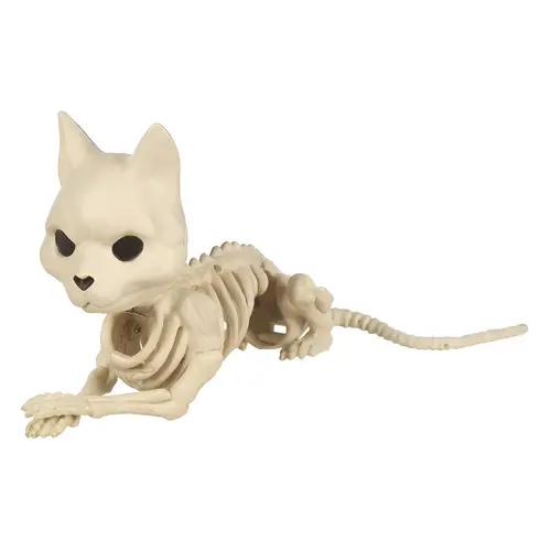 Halloween Decor 5.125" Skeleton Cat Halloween Decor 5.125" Skeleton Cat