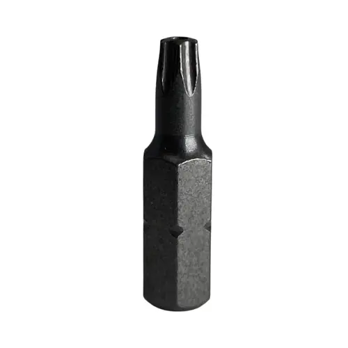 T20 Tamper-Proof Insert Bit