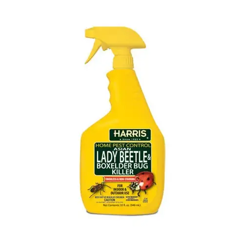 Lady Beetle & Boxelder Bug Killer Home Pest Control Liquid 32 oz Clear