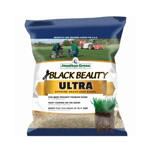 Black Beauty Ultra 1 Lb. 200 Sq. Ft. Coverage Tall Fescue Grass Seed Black Beauty Ultra 1 Lb. 200 Sq. Ft. Coverage Tall Fescue Grass Seed