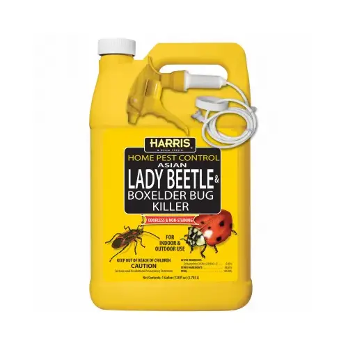 Beetle and Box Elder Bug Killer, Liquid, Spray Application, 128 oz Clear