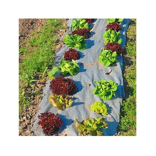 Landscape Fabric Garden Weed-Barrier 3 ft. W X 40 ft. L Recycled Paper Black Landscape Fabric Garden Weed-Barrier 3 ft. W X 40 ft. L Recycled Paper Black