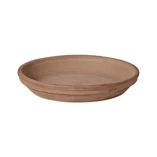 Plant Saucer 1.2" H X 1.2" D X 9.3" D Clay Traditional Chocolate Chocolate - pack of 16 Plant Saucer 1.2" H X 1.2" D X 9.3" D Clay Traditional Chocolate Chocolate - pack of 16
