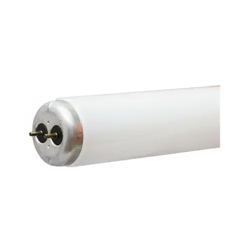 Fluorescent Bulb 40 W T12 48" L Cool White Linear 4100 K Clear Fluorescent Bulb 40 W T12 48" L Cool White Linear 4100 K Clear