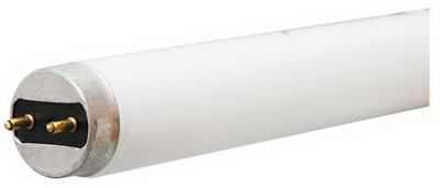 GE 41984 Linear Fluorescent Bulb Fluorescent Cool White 48" G13 (Medium Bi-Pin) T8 Frosted