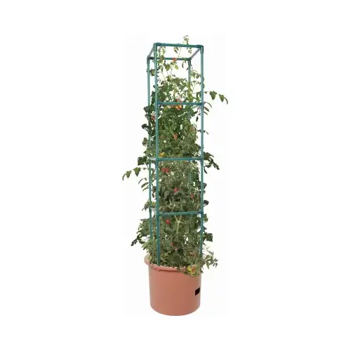 Tall Planter 12" H X 14" W Plastic Teracotta Clay Teracotta Clay
