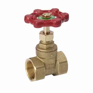 B&K 170-2-114 ProLine Series Gate Valve, 1-1/4 in Connection, FPT, 200/125 psi Pressure, Brass Body