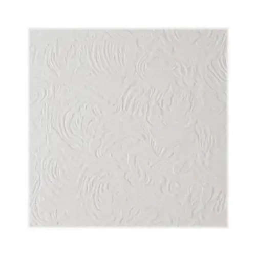 Ceiling Tile Orleans 12" L X 12" W 0.5" Staple White