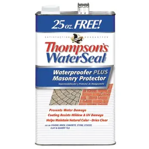 Thompson's Waterseal TH.023111-03 Masonry Waterproof Sealer Waterproofer Plus Masonry Protector Clear 1.2 gal Clear