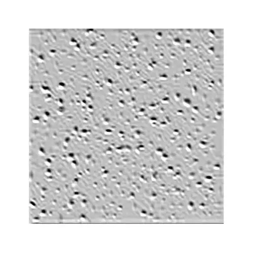 Ceiling Panel Radar Basic R2110 Non-Directional 24" L X 24" W 0.63" Square Edge Ceiling Pane White - pack of 16