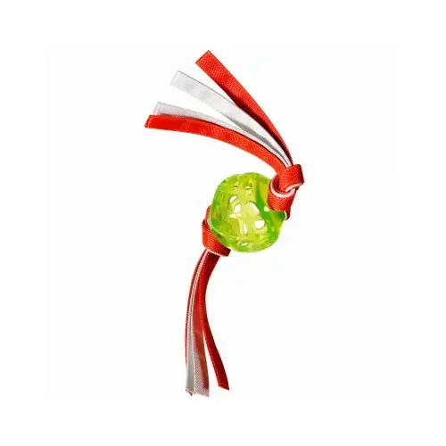 Retriever Series Rubber Ball With Tassles Dog Toy