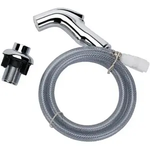 Baypointe 31-1105-BP Replacement Kitchen Side Spray, Chrome