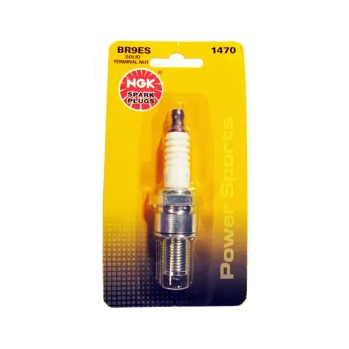 BR9ES BLYB Power Sports Spark Plug for ATV, PWC, Snowmobile BR9ES BLYB Power Sports Spark Plug for ATV, PWC, Snowmobile