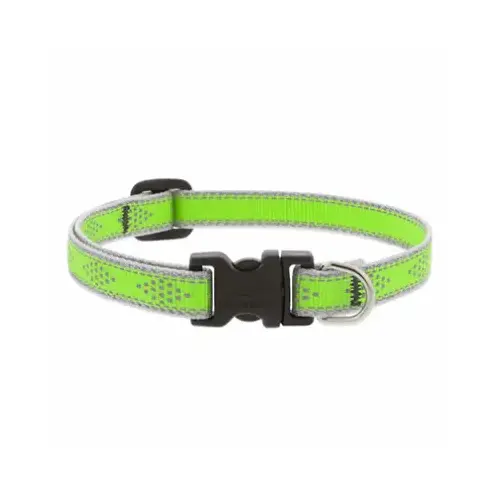1/2x10-16"GD Dog Collar 1/2x10-16"GD Dog Collar